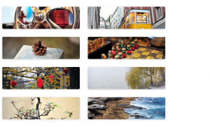 Banner images of WordPress