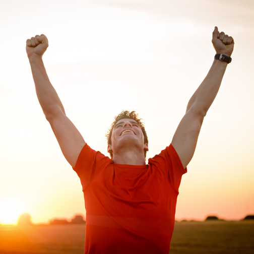 Great Progress On The Website Creation Mastery Course