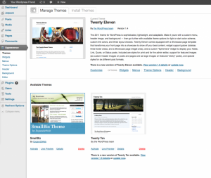 Your-Themes-And-Theme-Options-1024x863